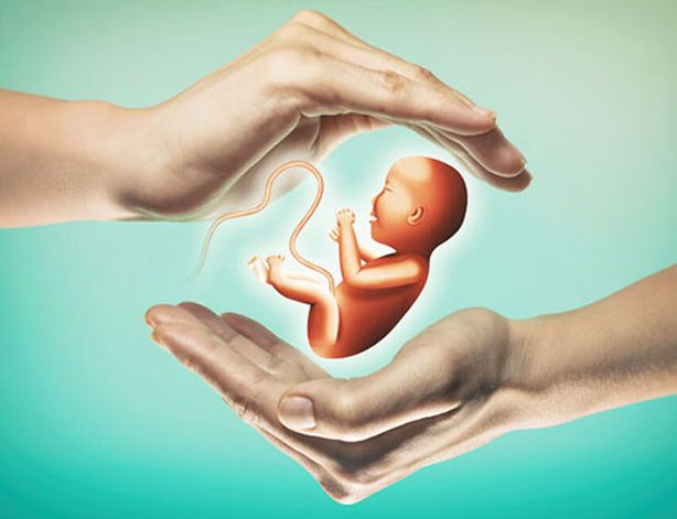 Embryo Donation