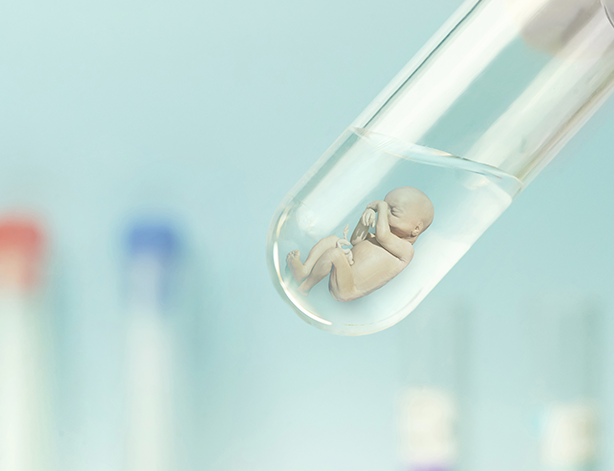 In Vitro Fertilization (IVF)